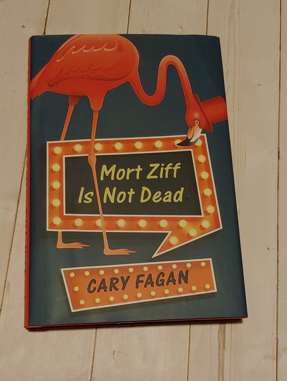 Mort Ziff Is Not Dead Preteen Fiction Book By Cart Fagan